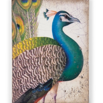 Sid Dickens Memory Blocks