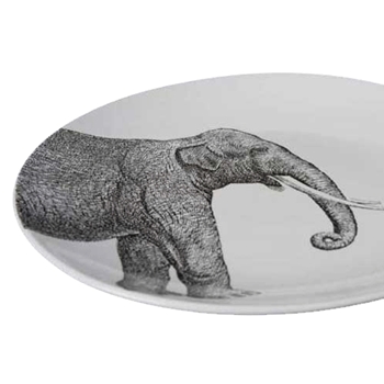 Safari Porcelain Collection