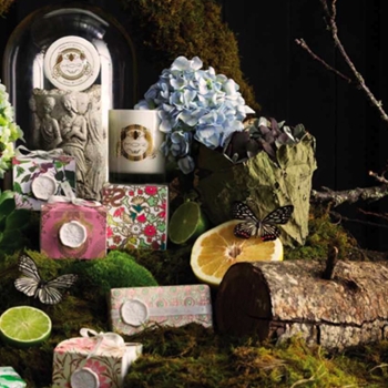 MOR Cosmetic Collection at Chintz & Company