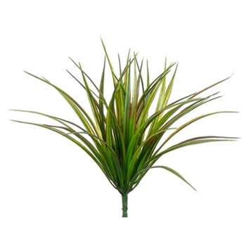 Grasses