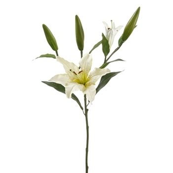 Lilies