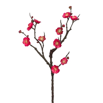 Blossoms