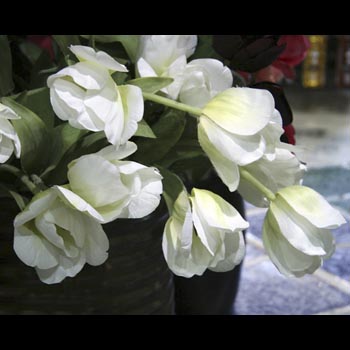 Dutch Tulips