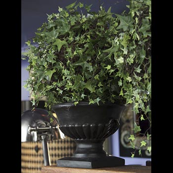 Topiary Ball