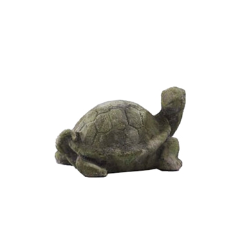 Mossy Turtle