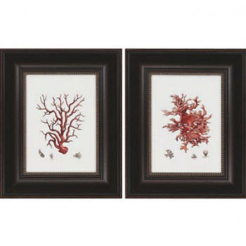 Finger Coral