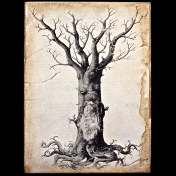 Medieval Tree Of Life (T125)
