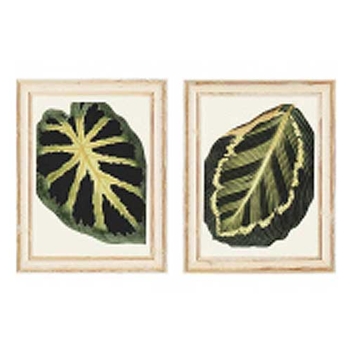 Leaves II