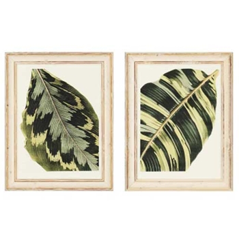 Leaves I