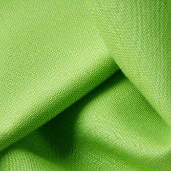 Lime Sunbrella Canvas Parrot