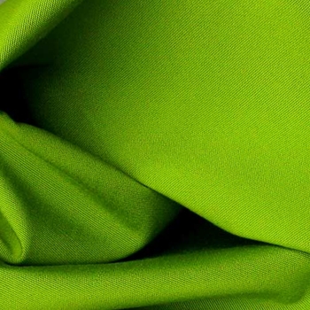 Peridot Sunbrella Canvas Macaw