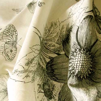 Black & White Toile Botanical