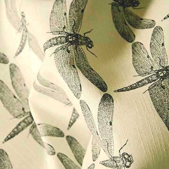Black & White Toile Dragonfly
