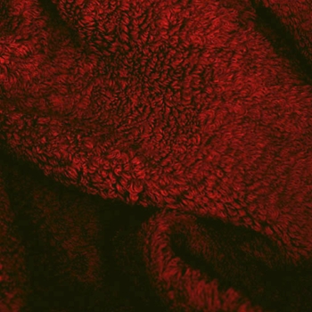 Cayen (725) Towels