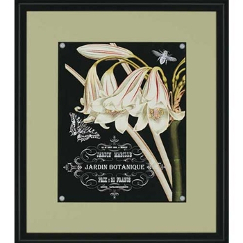 Jardin Boutique I
