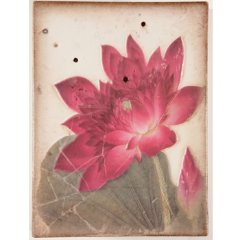 2011 Spring Collection - Ancient Bloom