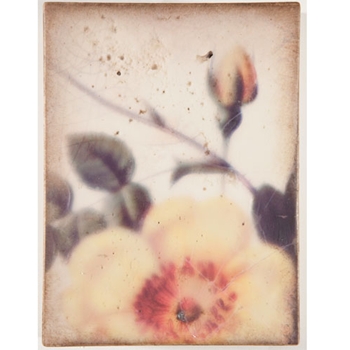 2011 Spring Collection - New Beginnings