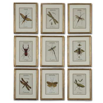 Insects (Set of 9)