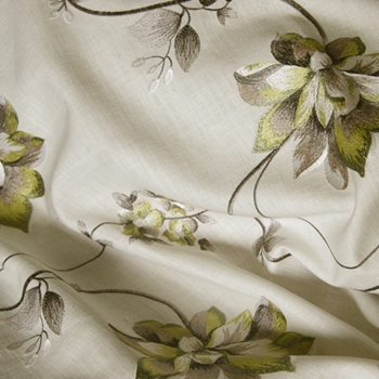 Celery Embroidered Humphrey