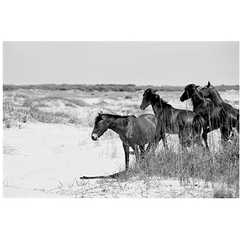 Agitation (Oversize/60W)