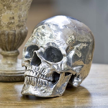 Nickel Skull