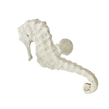 Sea Horse White Wash Hold Back