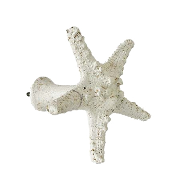 Starfish White Wash Hold Back