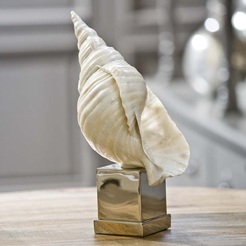 Conch White Shell Stand