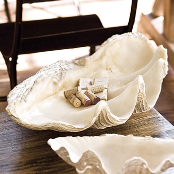 Clam Natural Shell