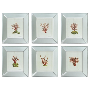 Coral Print/Mirror Frame