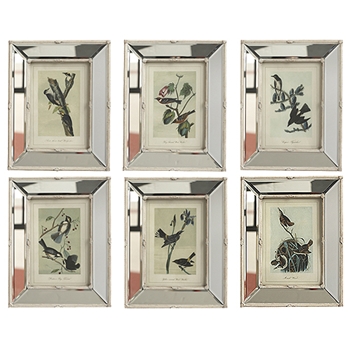 Aves Bird Print/Mirror Frame
