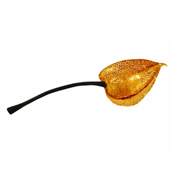 Gooseberry Gold Tea Strainer