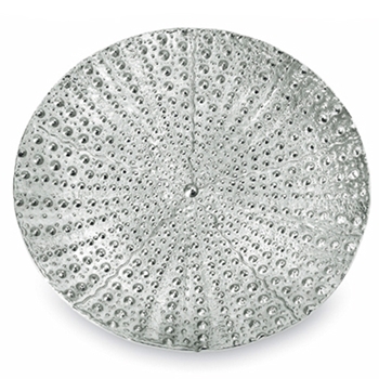 Urchin Nickel Platter