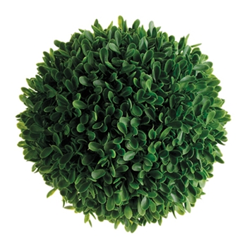 Boxwood Leaf Green Globe 7in