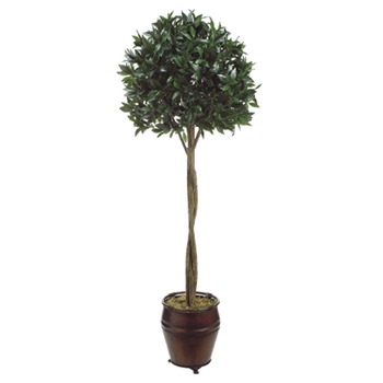 Bay Green Tree w/ Urn 6ft