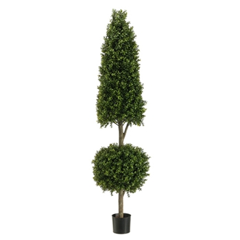 Boxwood Cone Ball Green Topiary 5ft