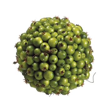 Berry Ball Green Globe 4.5in
