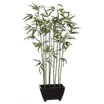 Bamboo Wall Green Tree 48in