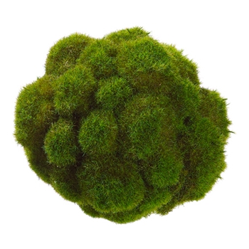 Moss Mood Green Globe 6.5in