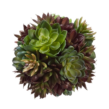 Succulent Mixed Natural Globe 6in