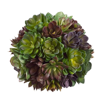 Succulent Mixed Natural Globe 8in