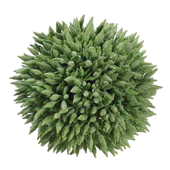 Seed Orb Green Globe 4in