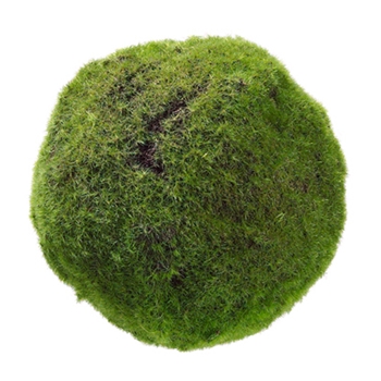 Moss Green Globe 7in