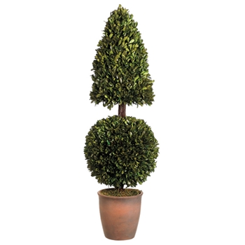 Boxwood Ball/Cone Green Topiary 38in