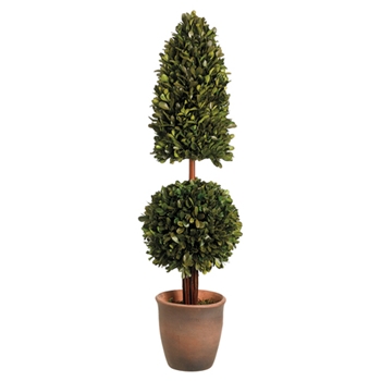 Boxwood Ball/Cone Green Topiary (Preserved) 29in