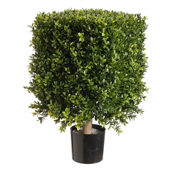 Boxwood Leaf Square Green Topiary 21in