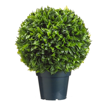 Boxwood Leaf Green Topiary 18in