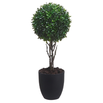 Boxwood Leaf Green Topiary/1 Ball 19in