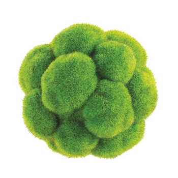 Moss Bun Globe 5in
