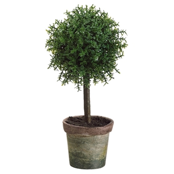 Babytear Ball Green Topiary 8in
